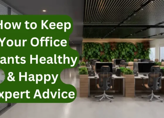 How to Keep Your Office Plants Healthy & Happy Expert Advice