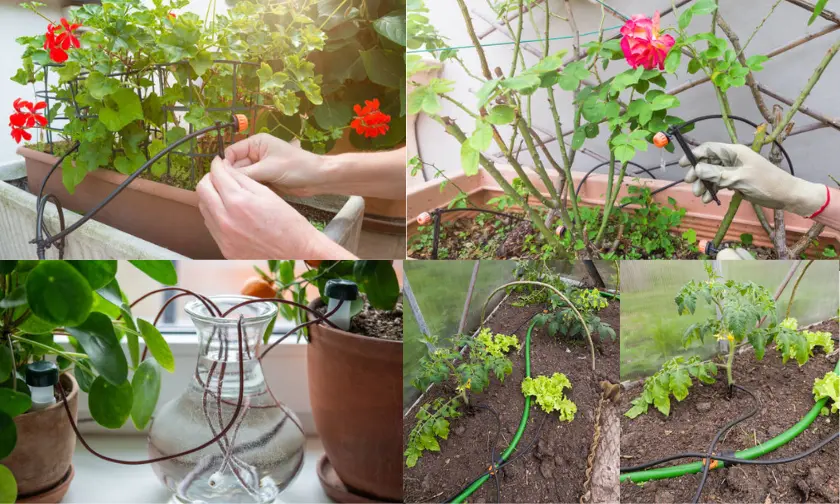 Installing a Drip Irrigation System