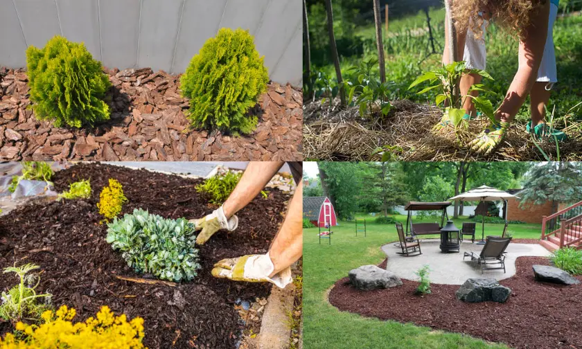 Mulching A Simple Yet Effective Solution